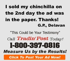 TradinPost Classifieds | Classified Ads Near Me
